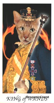 Cat's House Tarot by Hiroko Miyamoto